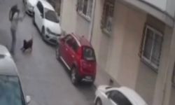 İzmir'de kan donduran görüntüler! Kemerle dövdü