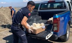 Manisa'da kilolarca bozuk peynir imha edildi