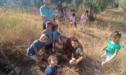 Minik ellerden büyük ders: Sarıgöllü öğrenciler fidan dikti!