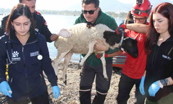 AFAD'dan İzmir'de gerçekçi sel tatbikatı