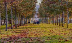 Manisa’da sonbahar renkleri Güzelyurt Mahallesi’ni süsledi