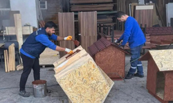 Başkan Dutlulu'dan hayvan barınağına kulübe desteği