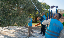 Denetimli Serbestlik Müdürlüğü'nden eğitime katkı