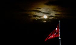 ''Kunduz Ayı'' büyük ilgi gördü