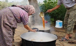 Sultaniye üzümlerinde pekmez zamanı