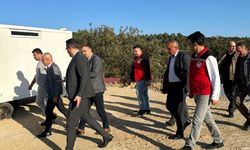 Sarıgöl’de hayvan bakım hizmetleri yerinde incelendi