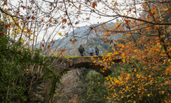 Çaybaşı Deresi aralık ayında da doğaseverleri büyülüyor