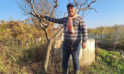 Çiftçinin mesaisi kışın da bitmiyor