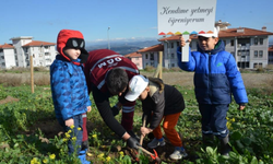 Yanan 4 bin 562 hektarlık alan yeniden yeşeriyor