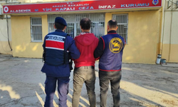 Alaşehir’de üzüm bağlarını soyan zanlı tutuklandı