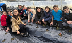 Öğrenciler üretiyor, çilekler engelli bireyler için yetişiyor