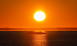 Doğadan gelen güçlü UV koruyucu molekül keşfedildi