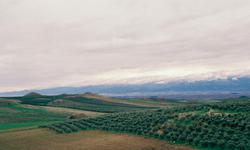 18 Aralık’ta dikkat! Manisa pusla uyanıyor