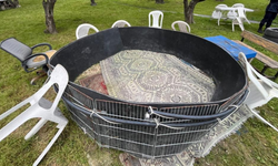 Manisa’da horoz dövüşü skandalı: 15 kişiye ceza yağdı