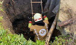 Kırkağaç'ta 5 metrelik su kuyusuna düşen köpek itfaiye tarafından kurtarıldı