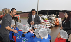 Salihli’de anasınıfı öğrencilerinden “Zeytin 5.0” Projesi