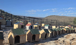 Seren Serengil’den anlamlı bağış