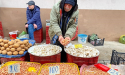 Alaşehir'de üreticilere soğan dikim uyarısı