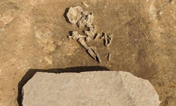 Almanya’da 4 bin 200 yıllık ‘zombi mezarı’ bulundu