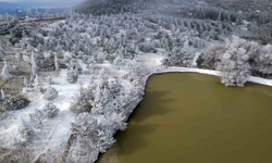 Spil Dağı’nda kırağı güzelliği: Doğa buzla kaplandı