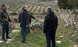 Erenbağı Mahallesi’nde hizmet ihtiyaçları yerinde tespit edildi