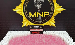 Manisa’da uyuşturucu operasyonu: Araçta 9 bin 726 sentetik hap ele geçirildi