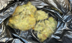 Durdurulan araçtan 50 gram yasaklı madde çıktı