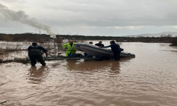 Gürdük Çayı’nda mahsur kalan 9 köpek yavrusu kurtarıldı