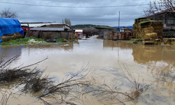 Yoğun yağış Kula’yı vurdu: Evler ve hayvanlar suya teslim oldu