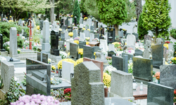 Manisa'da bugün 24 kişi hayatını kaybetti