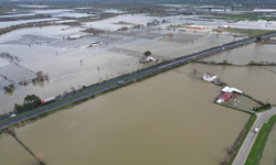 Manisa’da Gediz Nehri taştı: Tarım arazileri sular altında