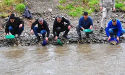 Manisa'dan seslendi: Altın avcıları derede altın aradı
