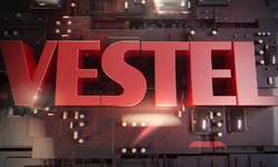 Vestel’den 500 milyon dolarlık borç yapılandırması iddialarına açıklama