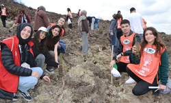 Manisa’da yanan alanlar yeniden yeşeriyor: 30 bin fidan toprakla buluşacak