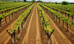 Alaşehir’de tarım için güç birliği