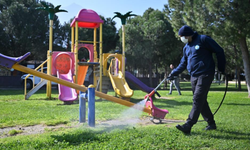 Manisa Büyükşehir’den yaz öncesi sivrisinekle mücadele atağı