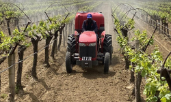 Alaşehir’de üzümde yeni dönem: “3K Bağcılık” başladı