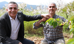 Başkan Şimşek, hasat öncesi sahaya indi