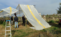 Sarıgöl’de bağlar yeni sezona hazırlanıyor