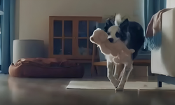 Bosch’un Anneler Günü reklamı krize neden oldu