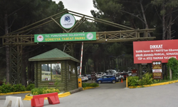 Manisa’da ormanlara giriş ve mangal yasağı başladı