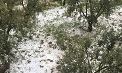 Sağanak ve dolu Manisa Demirci’yi olumsuz etkiledi
