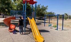 Yunusemre’de parklara yaz bakımı