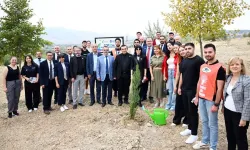 MCBÜ’den COP31 sürecine sürdürülebilirlik hamlesi