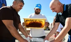 Manisa’da arıcıların petekleri eksi 30 derecede korunuyor