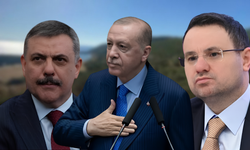 Türkiye fonu konuşurken bunu unutuyor: İzmir ve Ege Bölgesi'ndeki değerli kamu arazileri kimlere tahsis edildi?