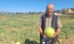 Manisa’da dededen kalan karpuz tohumu yıllardır toprakla buluşuyor