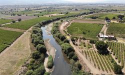 Gediz Nehri’nde kirlilik alarmı: Alaşehir Çayı’nda bor sınırı 47,9 kat aştı