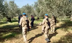 Kırkağaç'ta zeytin üreticilerinin talebi üzerine jandarma harekete geçti