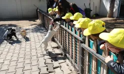 Miniklerden patili dostlara anlamlı ziyaret
